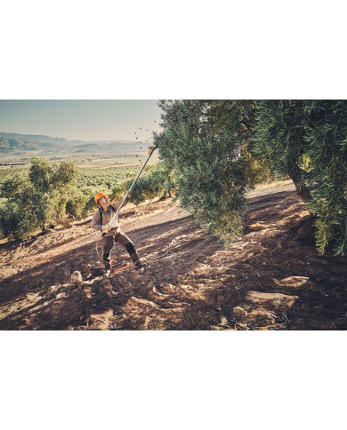 ABBACCHIATORE STIHL SPA130