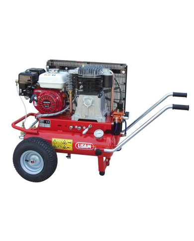 MOTOCOMPRESSORE LISAM LM600/30 MOTOCOMPRESSORE LISAM LM600/30