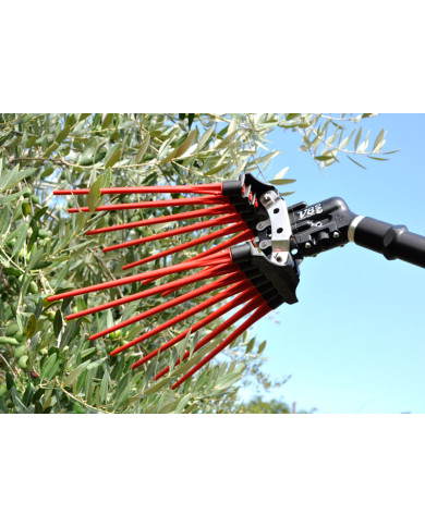 ABBACHIATORE LISAM V8 EVO ABBACHIATORE LISAM V8 EVO