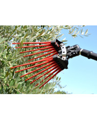 ABBACHIATORE LISAM V8 EVO