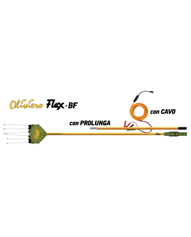 OLIVIERO FLEX-BF ASTA FISSA