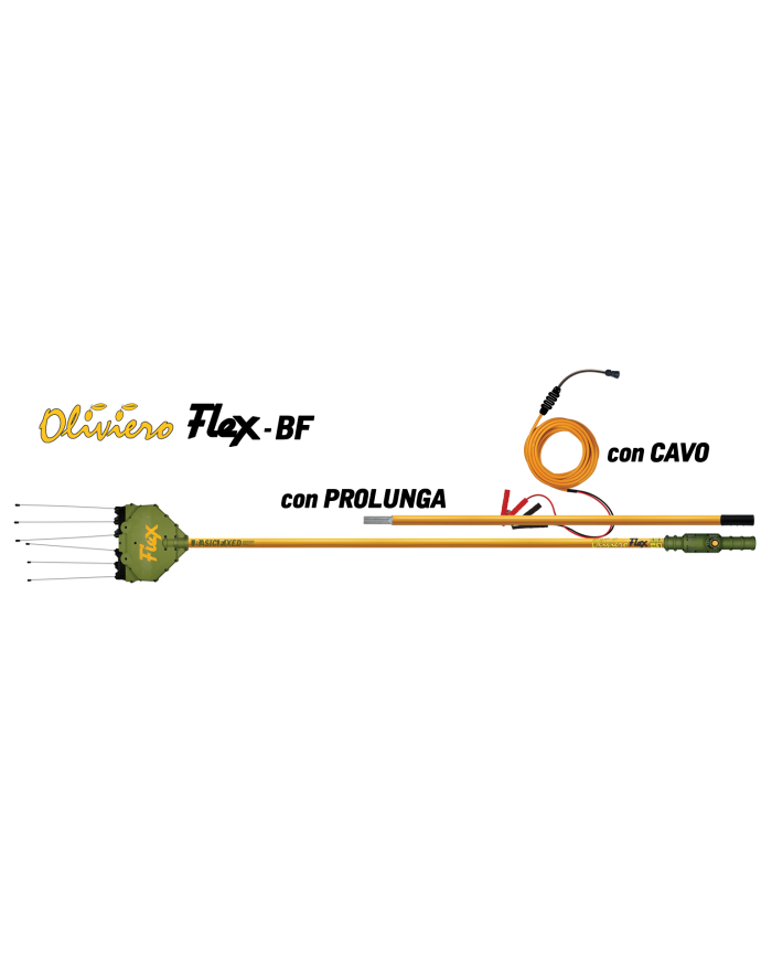 OLIVIERO FLEX-BF ASTA FISSA