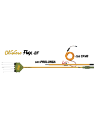 OLIVIERO FLEX-BF ASTA FISSA