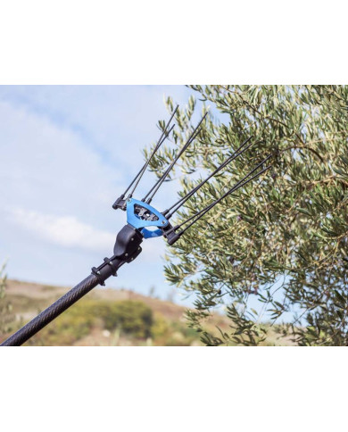 ABBACCHIATORE CAMPAGNOLA ICARUS 58V