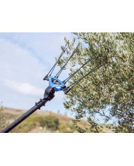 ABBACCHIATORE CAMPAGNOLA ICARUS 58V