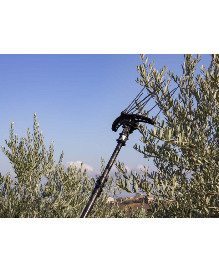 ABBACCHIATORE CAMPAGNOLA HERCULES 58V