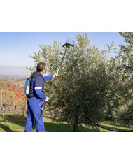 ABBACCHIATORE CAMPAGNOLA HERCULES 58V