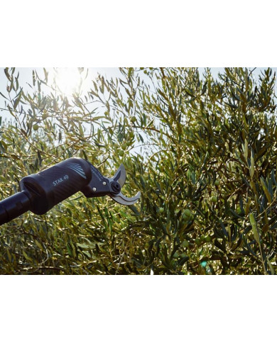 FORBICE CAMPAGNOLA STAR 40