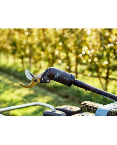 FORBICE CAMPAGNOLA STAR 40