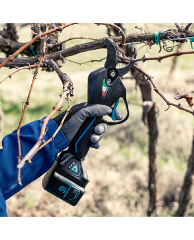 FORBICE CAMPAGNOLA NOVA 35