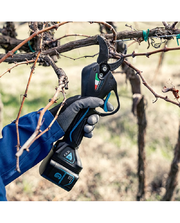 FORBICE CAMPAGNOLA NOVA 35