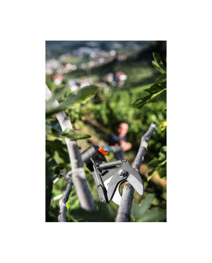 FORBICE STOCKER AD ASTA TELESCOPICA