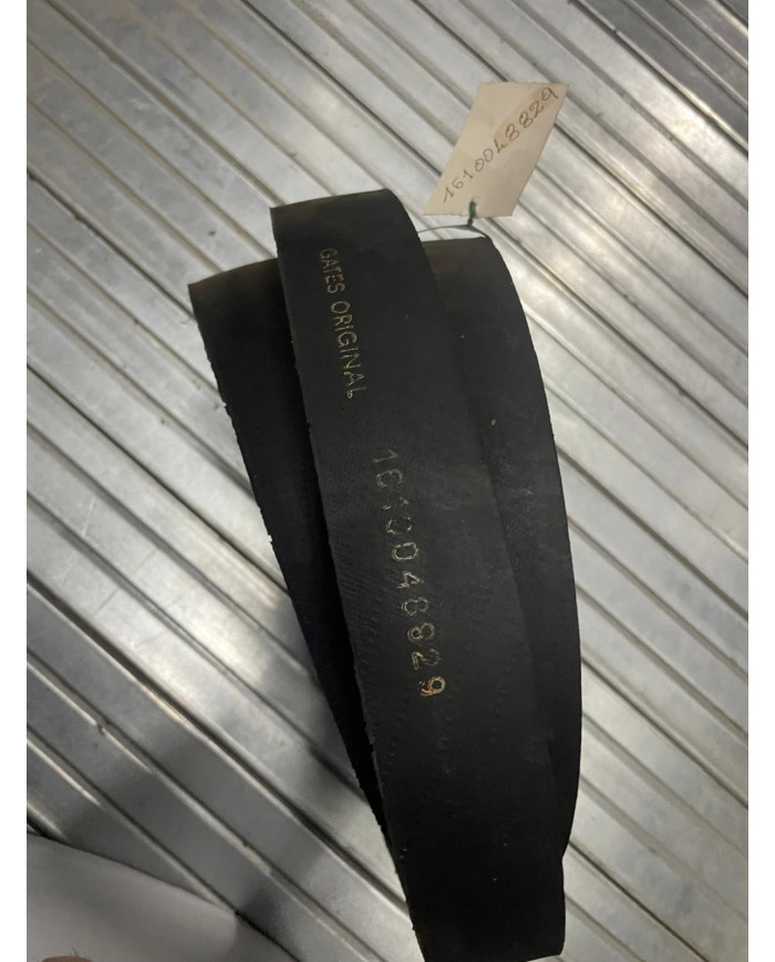 CINGHIA ARBOS 610048829