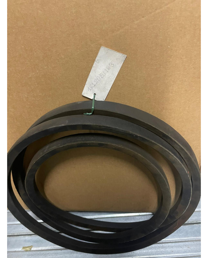 CINGHIA ARBOS 612051163