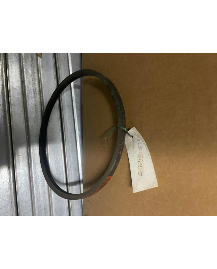 CINGHIA ARBOS 612063001