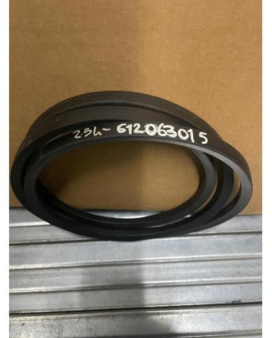 CINGHIA ARBOS 612063015