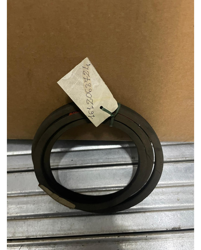 CINGHIA ARBOS 612063724