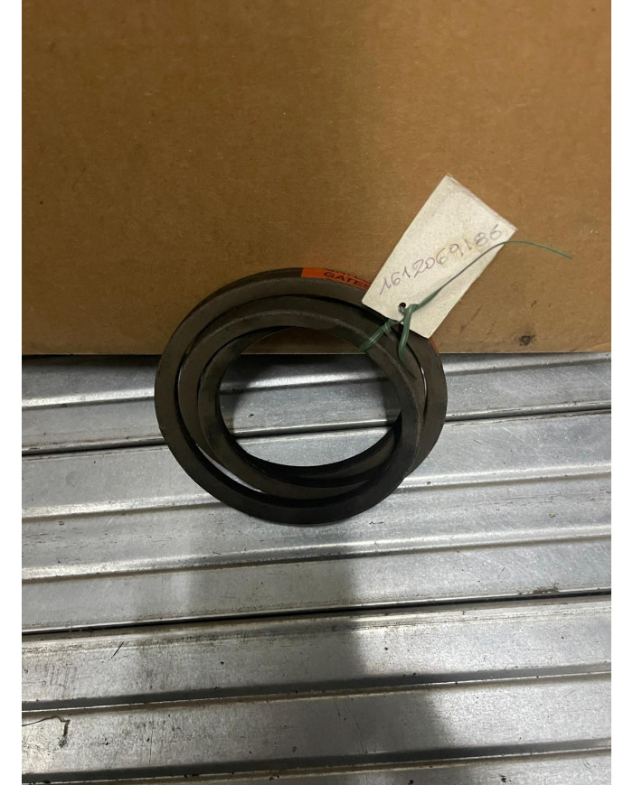 CINGHIA ARBOS 612069186