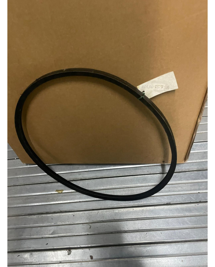 CINGHIA ARBOS 612075734