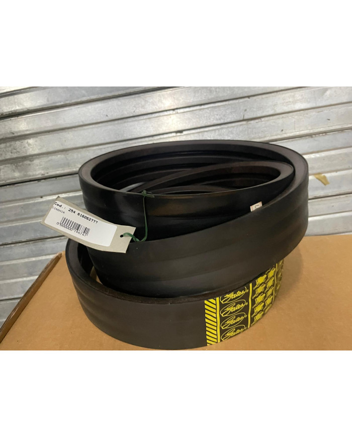 CINGHIA ARBOS 616062951