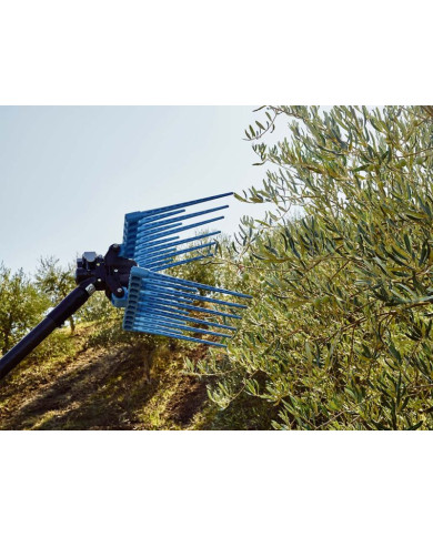 ABBACCHIATORE CAMPAGNOLA DIABLO EVO