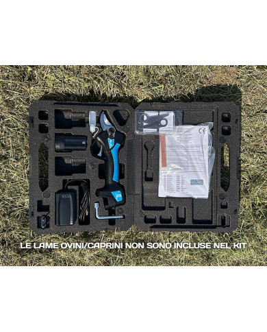 FORBICE ELETTRICA CAMPAGNOLA SL32V1