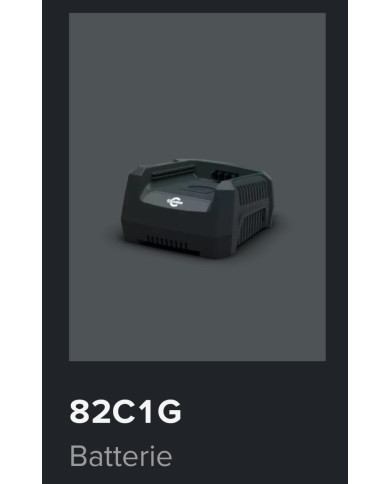 CARICA BATTERIA CRAMER SINGOLO 82C1G CARICA BATTERIA CRAMER SINGOLO 82C1G