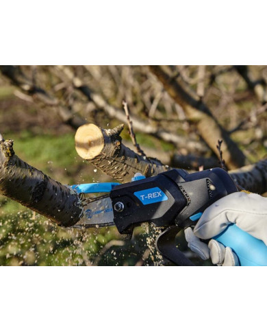 POTATORE A BATTERIA T REX CAMPAGNOLA