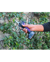 FORBICE ELETTRICA CAMPAGNOLA SL 32 V1