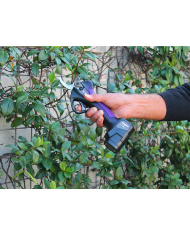 FORBICE ELETTRICA CAMPAGNOLA SL 32 V1