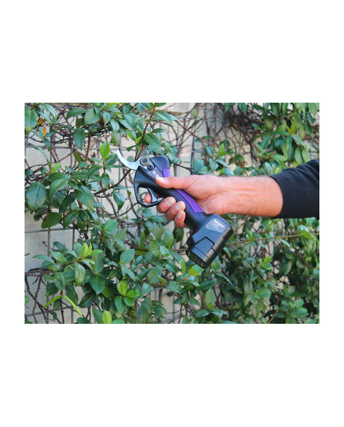 FORBICE ELETTRICA CAMPAGNOLA SL 32 V1