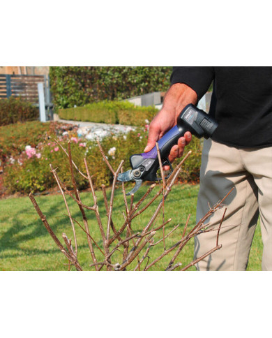 FORBICE ELETTRICA CAMPAGNOLA SL 32 V1