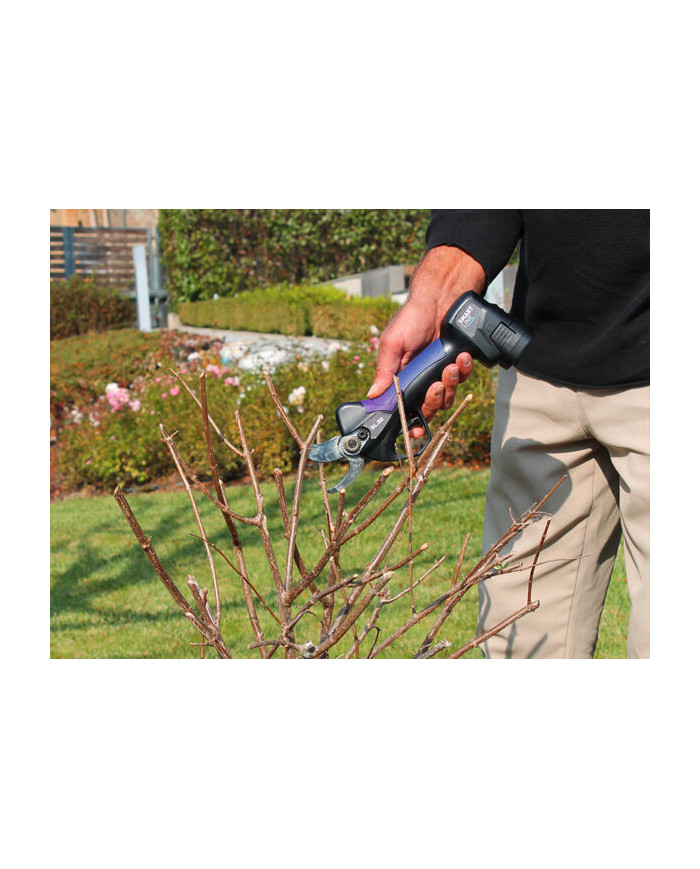 FORBICE ELETTRICA CAMPAGNOLA SL 32 V1