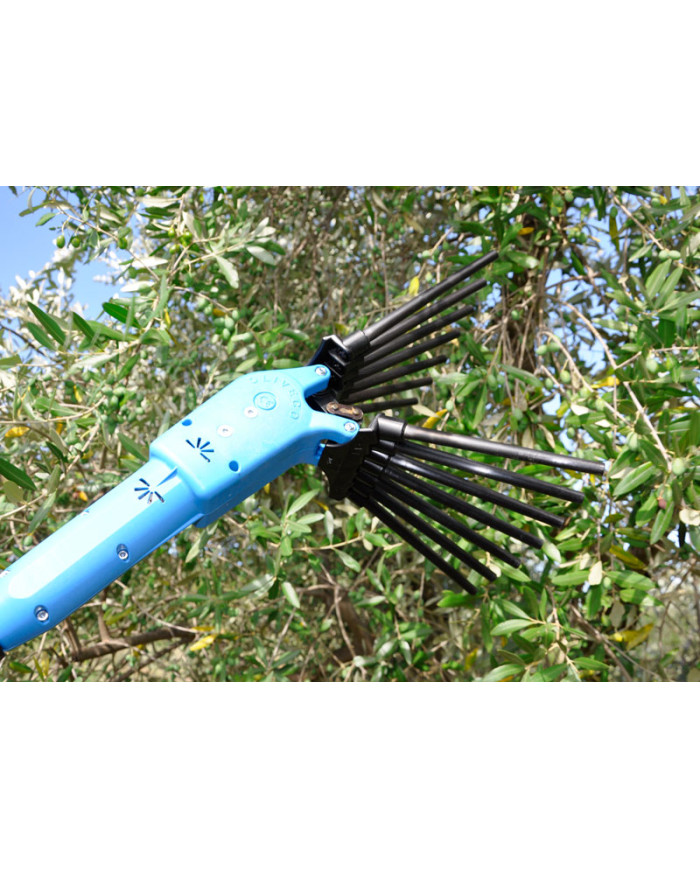 PETTINE ELETTRICO LISAM OLIVECO