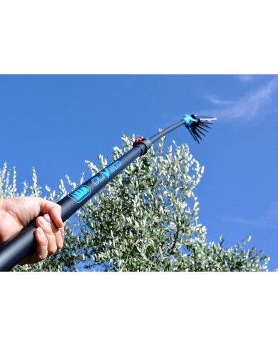 PETTINE ELETTRICO LISAM OLIVECO PETTINE ELETTRICO LISAM OLIVECO