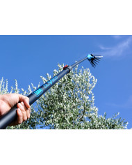 PETTINE ELETTRICO LISAM OLIVECO